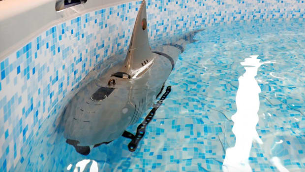 Robo-Shark, Chinese Navy