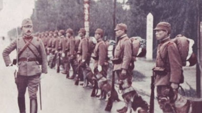 The Canine Heroes of the Imperial Japanese Army