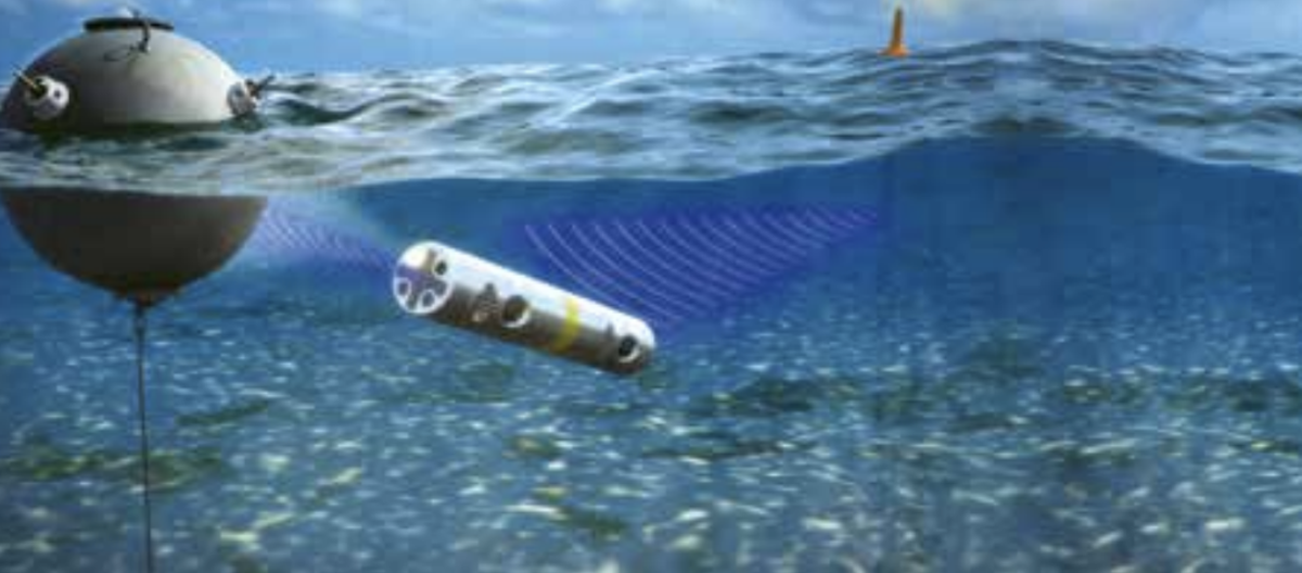 Barracuda is designed to autonomously reacquire bottom, volume and near-surface sea mines and ultimately, and autonomously, perform mine destruction.